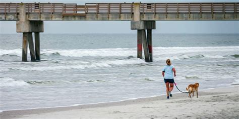 pet friendly hotels jacksonville beach fl|Best Pet Friendly Hotels in Jacksonville Beach, FL